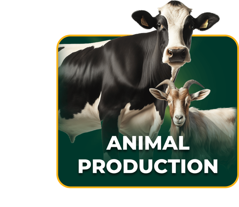 Animal production