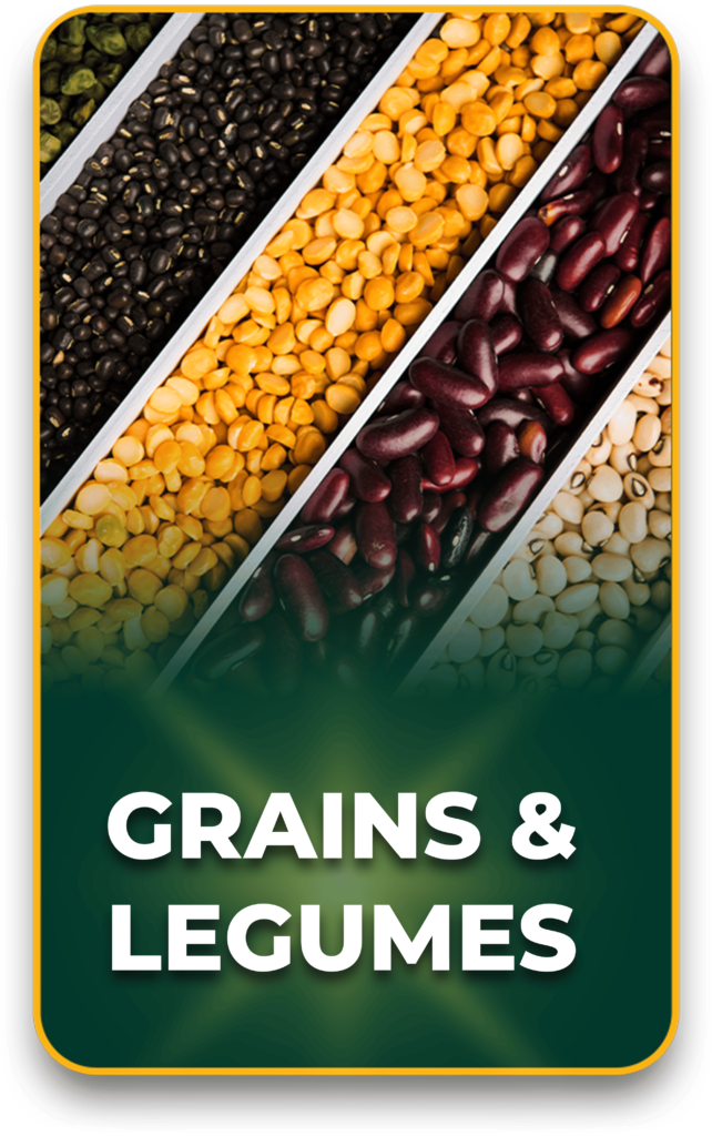 Grains & Legumes