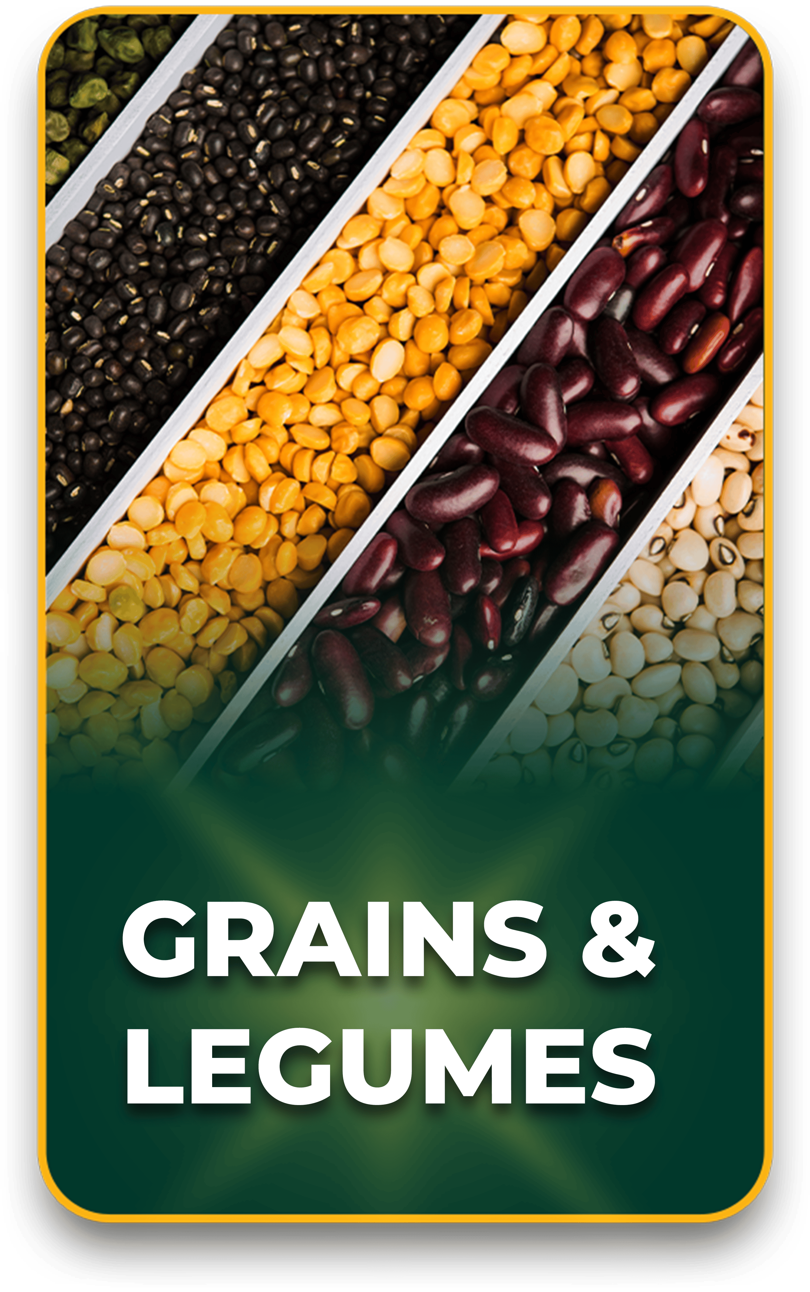 Grains & Legumes